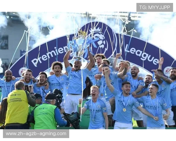 2019年英超降级球队及其表现回顾