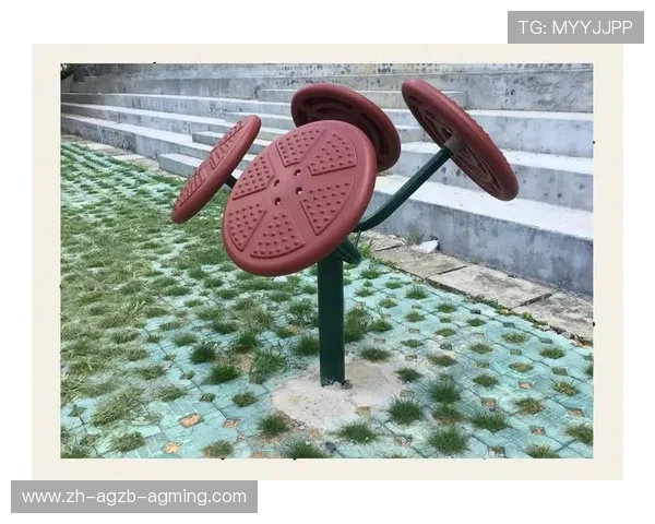 室内儿童健身器材的安全性与实用性 室内儿童健身器材的安全性与实用性