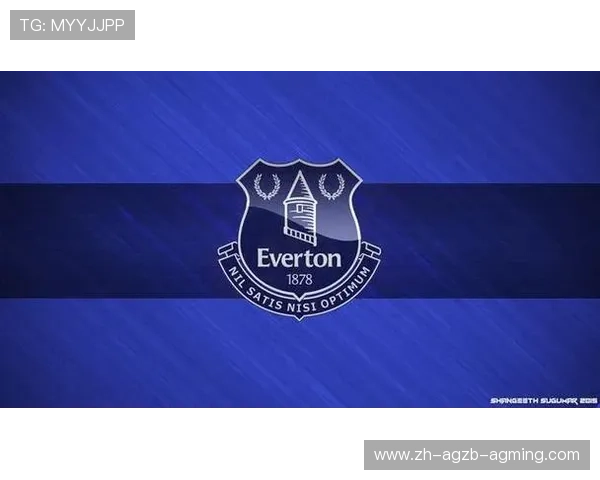 英超球队近五年净投入分析